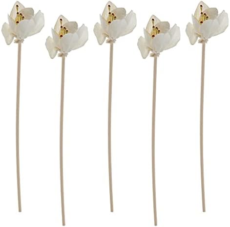 DOITOOL 5pcs Rattan Sticks for Diffusers