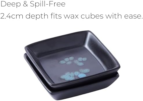 Set of 2 Square Ceramic Wax Warmer Dishes - Black Matte and Brown Bloom Pattern