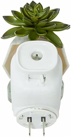 Yankee Candle Faceted Succulent Diffuser with Olive Cypress Refill