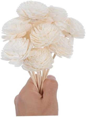 GALPADA 10pcs Flower Diffuser Sticks for Home Decor