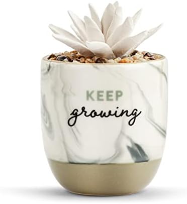 Demdaco Keep Growing Succulent Marbled Grey Ceramic Oil Diffuser