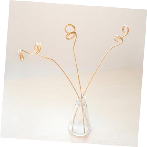 Garneck 12Pcs Aromatic Diffuser Sticks Set