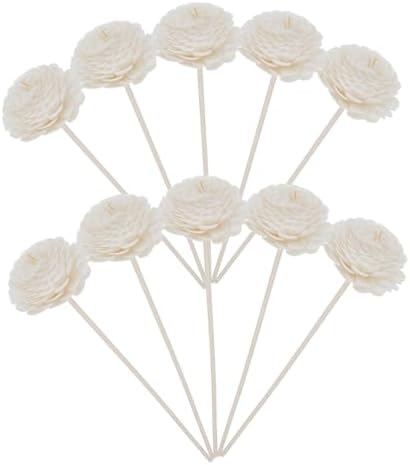 10pcs Fragrance Diffuser Sticks with Dried Flowers for Home and Office