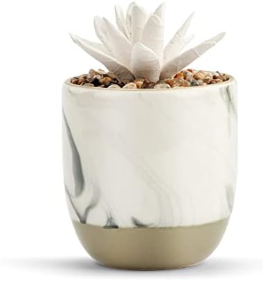 Demdaco Keep Growing Succulent Marbled Grey Ceramic Oil Diffuser