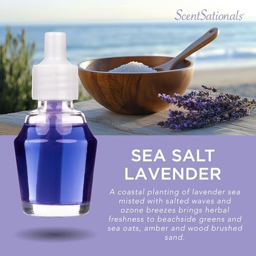 Scentsationals Fragrance Oil Refill 3-Pack - Sea Salt Lavender