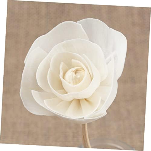 Ciieeo 9pcs Replacement Diffuser Reeds with Dried Flowers