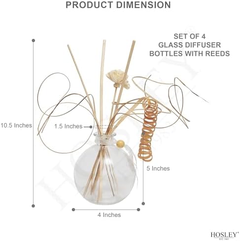 Hosley Glass Diffuser Bottles with Reeds Set of 4