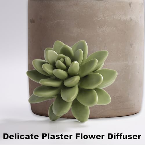 Pretty Valley Home Succulent Diffuser Vase Set Sweet Orange Cedar 100ml