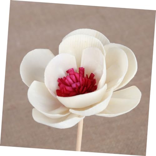 Garneck 3Pcs Dried Flower Diffuser Sticks Aromatherapy Decor