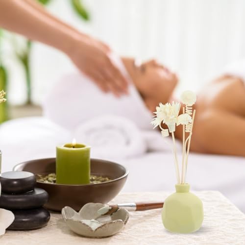 VOSAREA Aromatherapy Diffuser Sticks for Home Decor