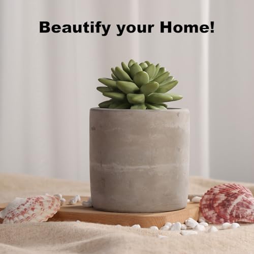Pretty Valley Home Succulent Diffuser Vase Set Sweet Orange Cedar 100ml