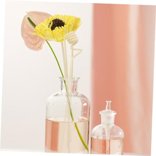 Sola Flower Aroma Diffuser Sticks Set for Home Fragrance
