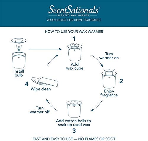 Scentsationals Autumn Collection Pumpkin Wishes Wax Warmers