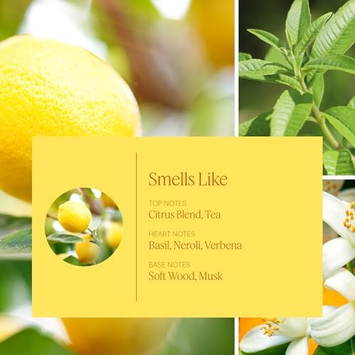 Aera Mini Lemon Neroli Scent Refill - Diffuser Compatible