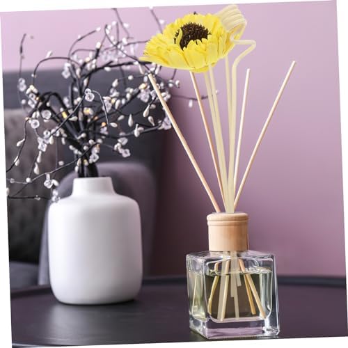 GLEAVI Aroma Diffuser Sticks Set for Essential Oil