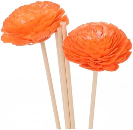 MAGICLULU Aromatherapy Sticks for Home and Kitchen