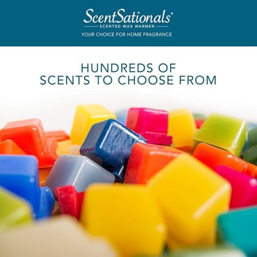 Scentsationals Scented Wax Melts Holiday Collection 4-Pack Apple Spruce