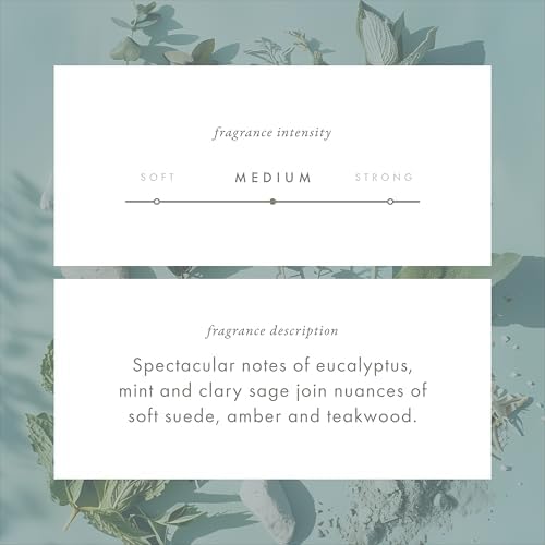 Monthly Fragrance Cartridge - Australian Coast by ScentAir