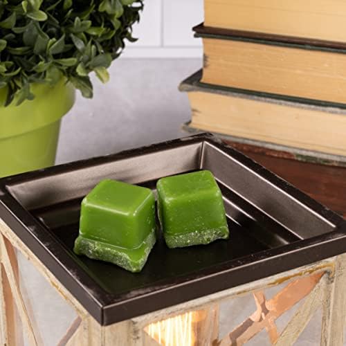 Scentsationals Edison Wax Warmer and 4-Pack Wax Melts