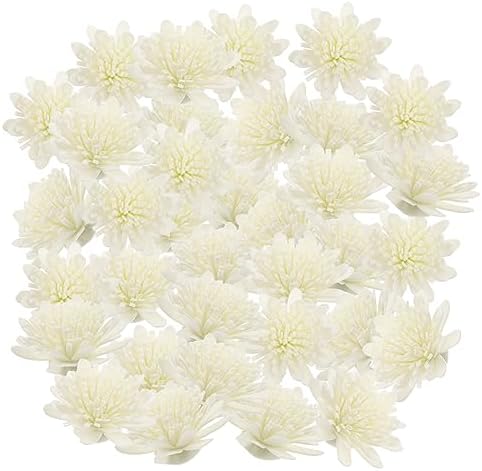 100pcs Chrysanthemum Aroma Diffuser Reeds