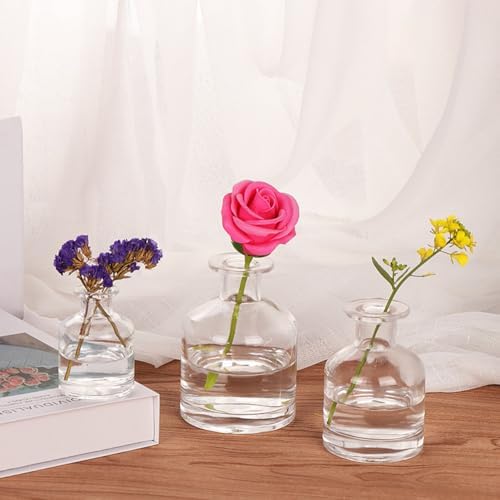 150ml Glass Diffuser Bottle for Aromatherapy and Decor