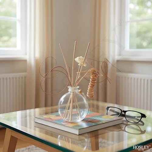 Hosley Glass Diffuser Bottles with Reeds Set of 4