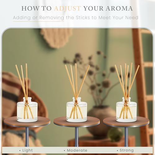 Hillhouse Naturals Balsam Fir Cedar Reed Diffuser Set