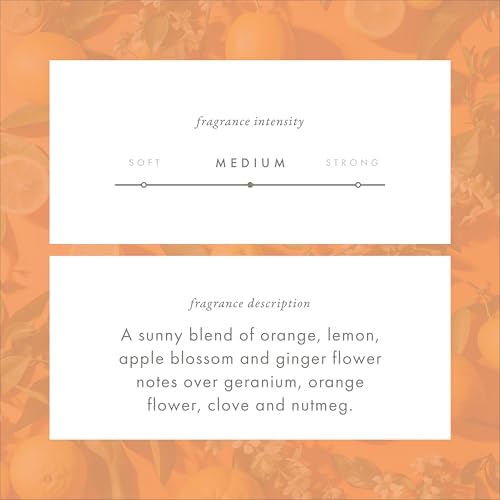 ScentAir Monthly Fragrance Cartridge - Tuscan Orange