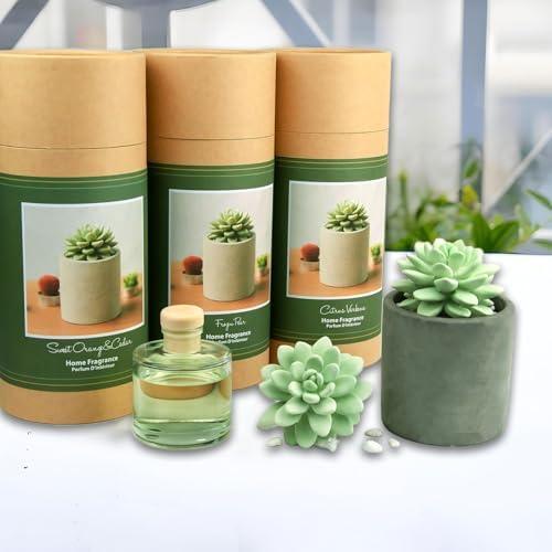 Pretty Valley Home Succulent Diffuser Vase Set Sweet Orange Cedar 100ml