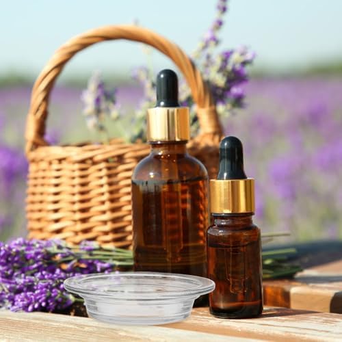 Veemoon 2pcs Glass Aromatherapy Wax Burner Dish