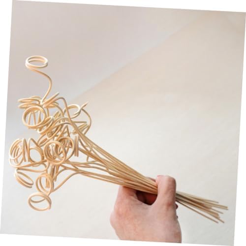 Garneck 12Pcs Aromatic Diffuser Sticks Set