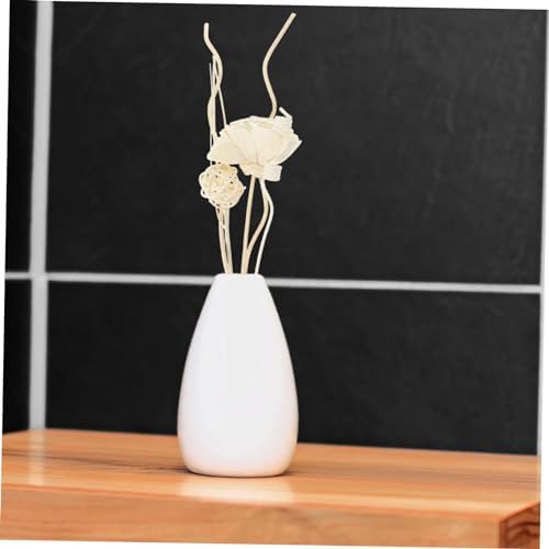 Gatuida Aroma Diffuser Sticks Set for Home and Car