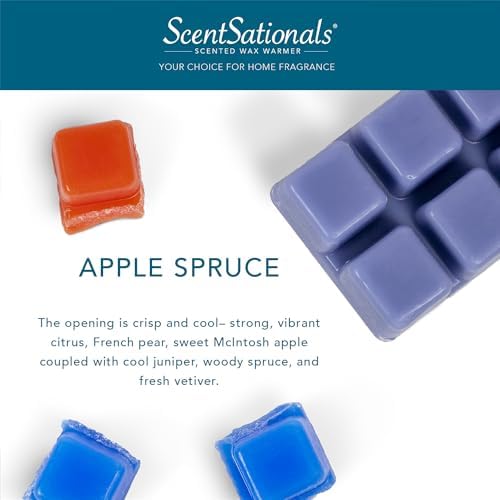 Scentsationals Scented Wax Melts Holiday Collection 4-Pack Apple Spruce