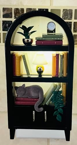Bath Body Works Nightlight Wallflower Scent Control Bookcase