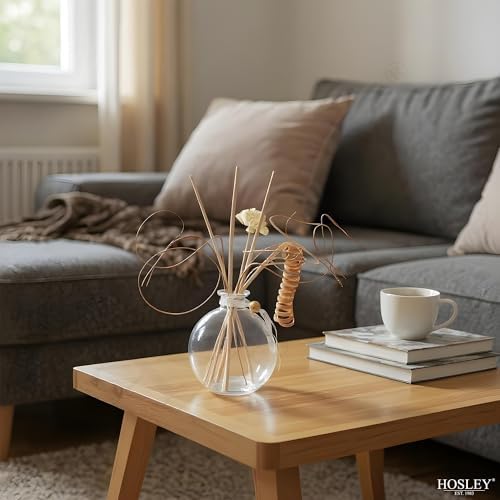 Hosley Glass Diffuser Bottles with Reeds Set of 4