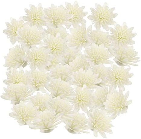 Cabilock 100pcs Diffuser Reeds Chrysanthemum Aroma Accessories
