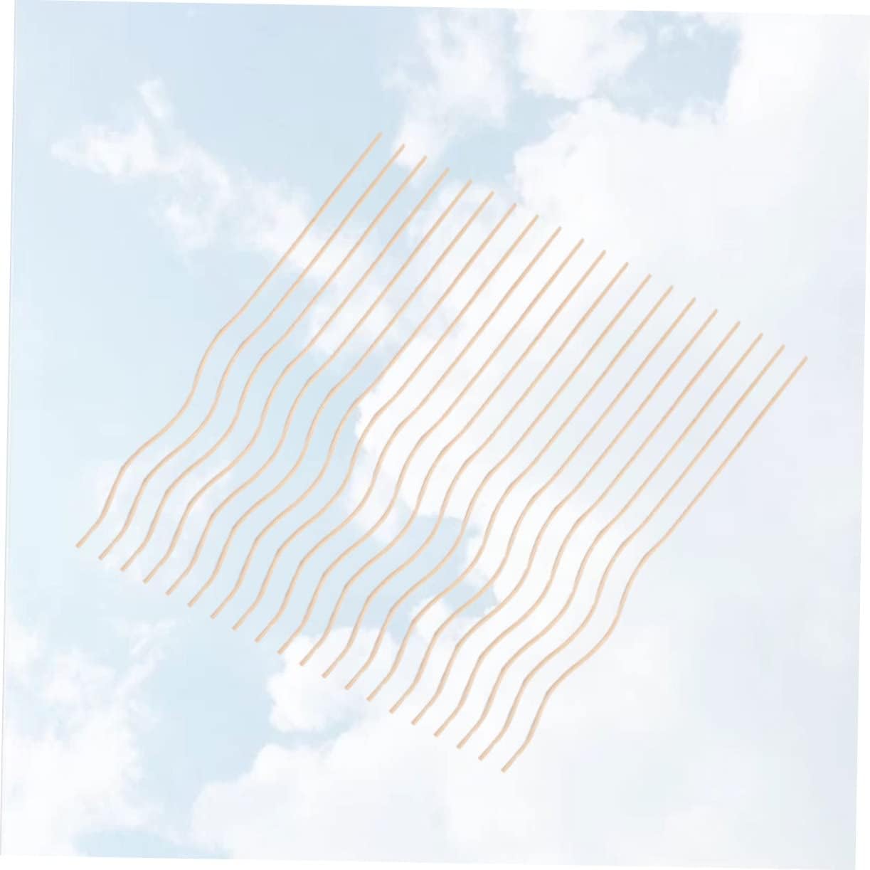 Alipis 20Pcs Wavy Diffuser Sticks for Home Fragrance