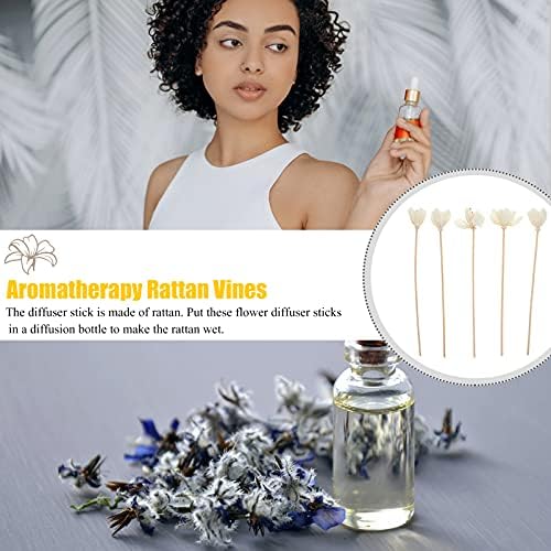 DOITOOL 5pcs Rattan Sticks for Diffusers
