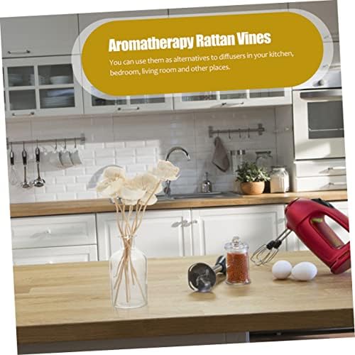 Ciieeo 9pcs Replacement Diffuser Reeds with Dried Flowers