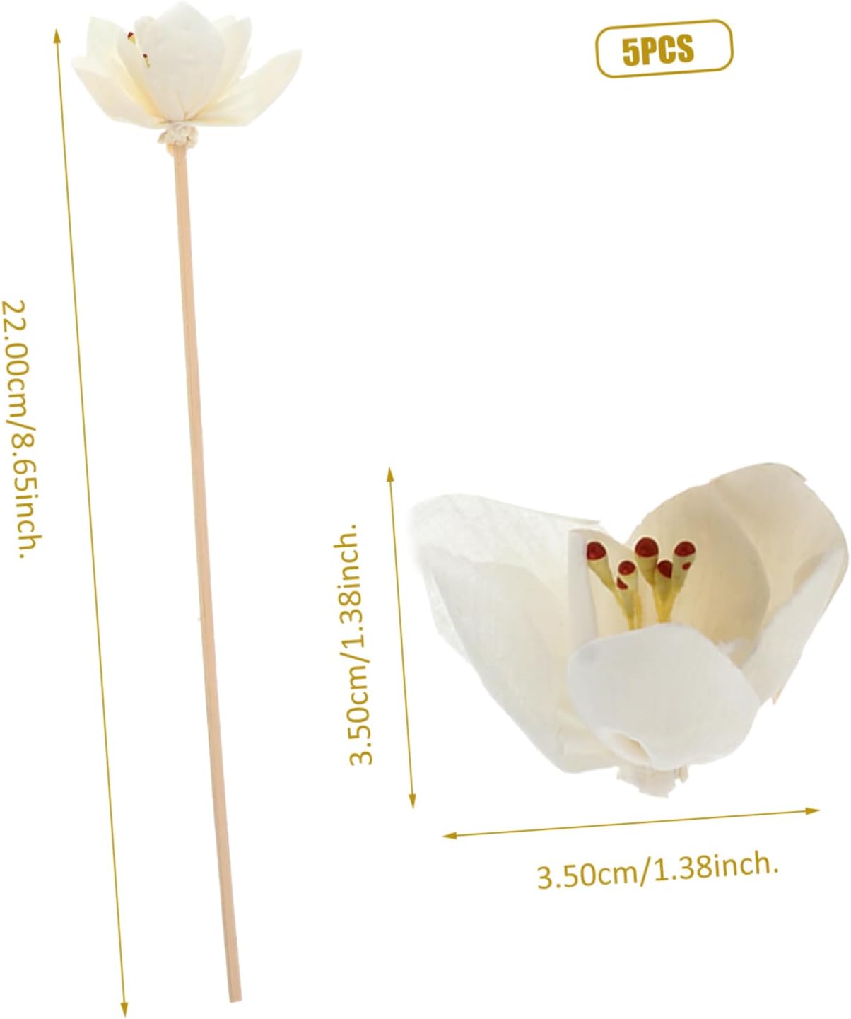 BESPORTBLE 5pcs Wicker Diffuser Sticks for Home Fragrance
