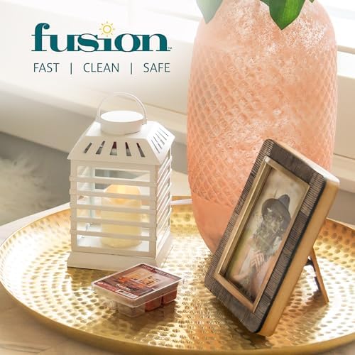 FUSION by Scentsationals Scented Wax Melts - Carrot Spice Cake 3-Pack