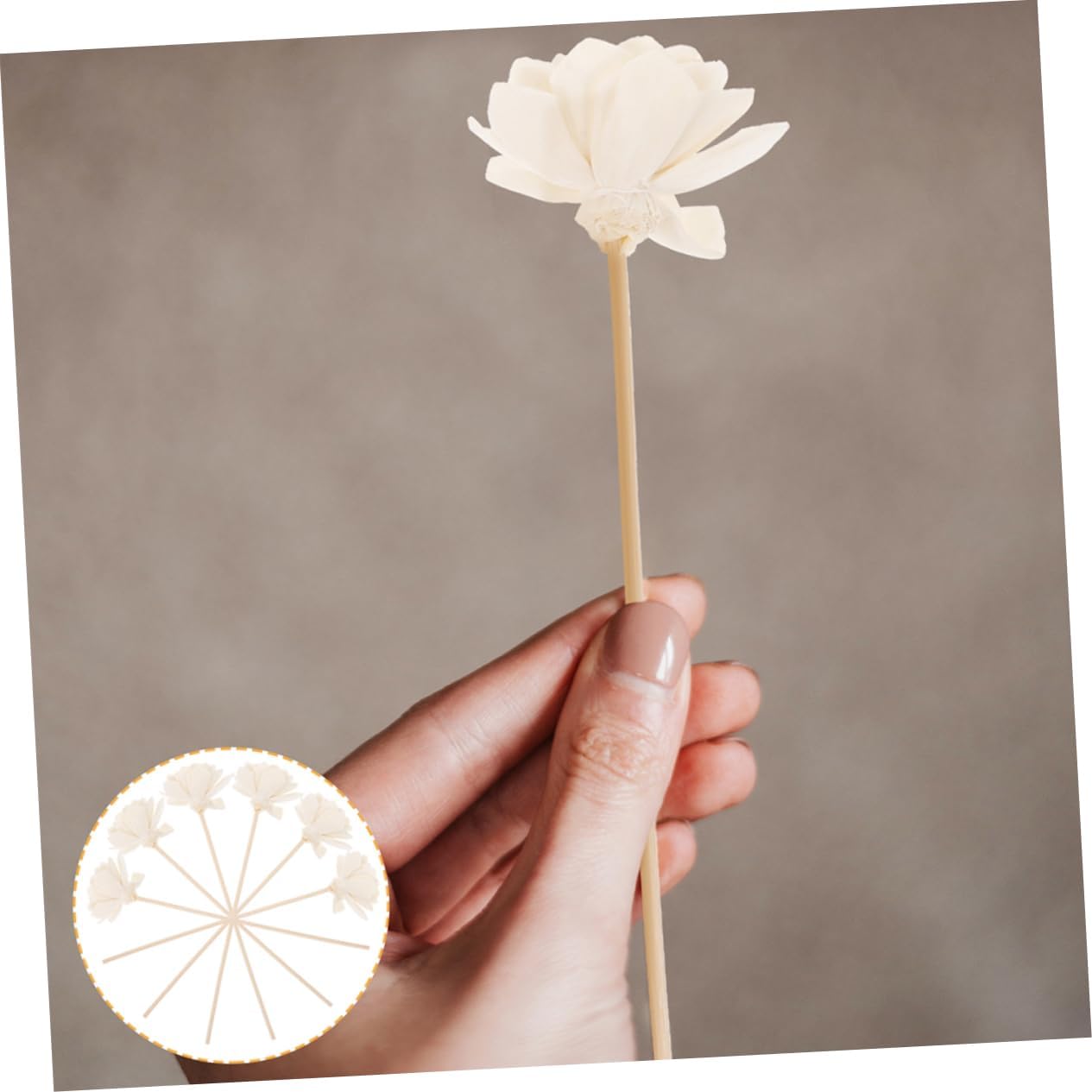 Zerodeko 8Pcs Natural Rattan Flower Diffuser Sticks for Essential Oils