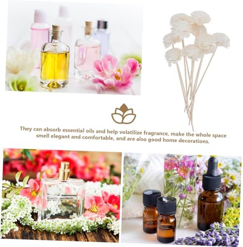 GALPADA 10pcs Flower Diffuser Sticks for Home Decor