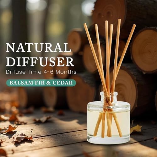 Hillhouse Naturals Balsam Fir Cedar Reed Diffuser Set