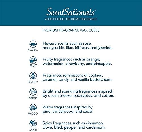 Scentsationals Scented Wax Cubes Warm Apple Pie 25 oz