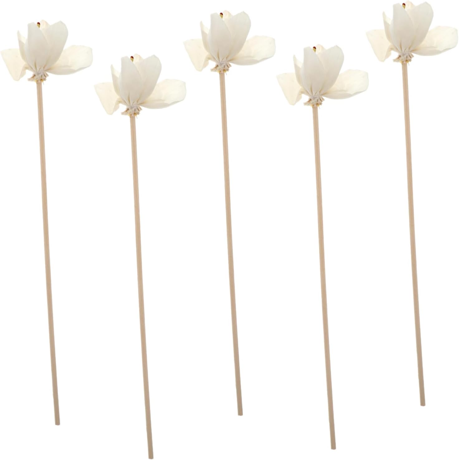 BESPORTBLE 5pcs Wicker Diffuser Sticks for Home Fragrance