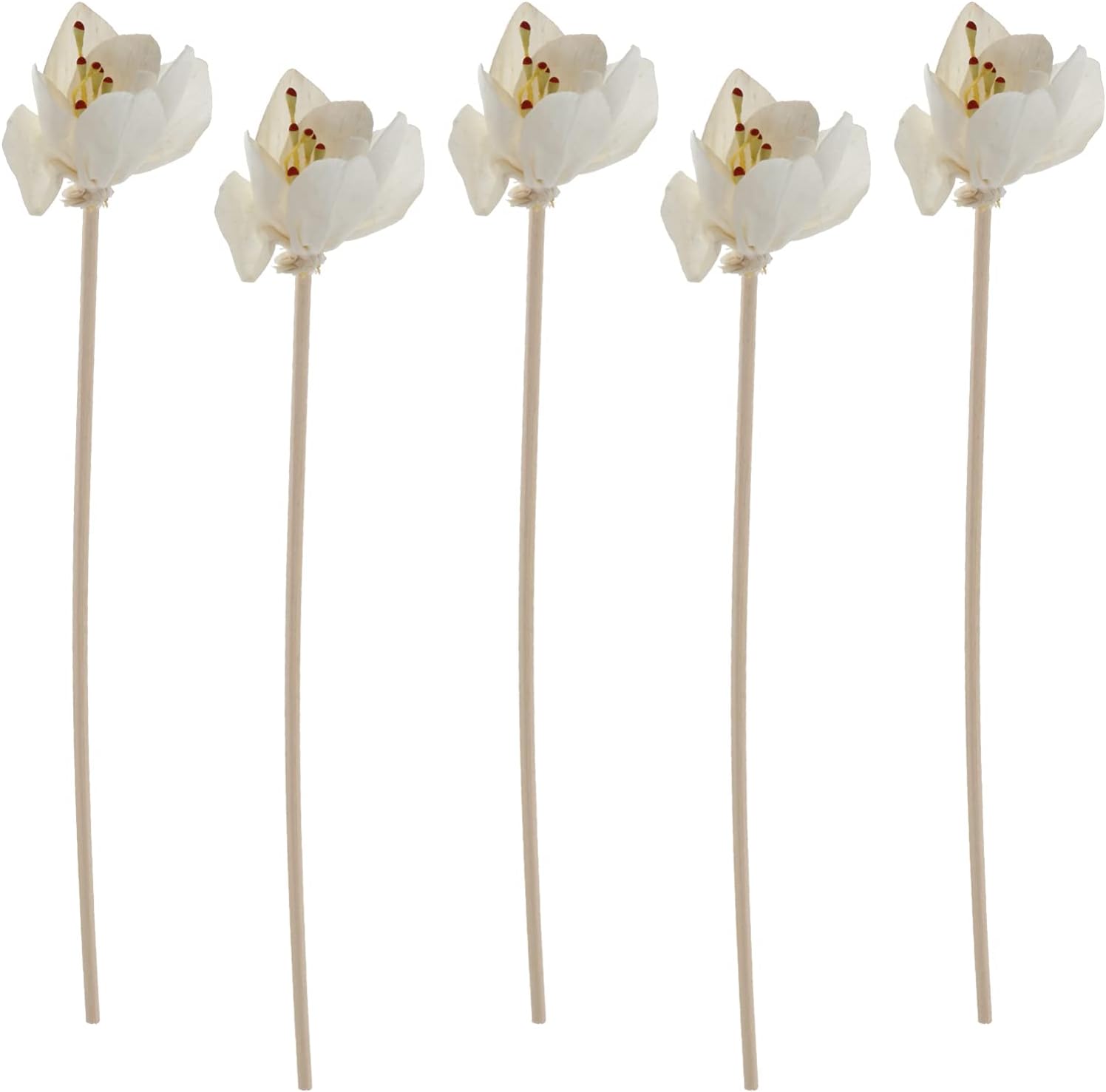 DOITOOL 5pcs Rattan Sticks for Diffusers