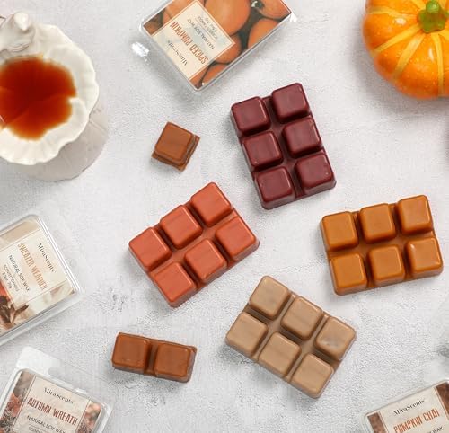 Fall Scented Wax Melts 6 Pack Natural Soy