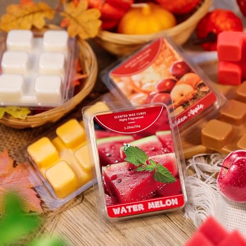 STRN Soy Wax Melts 12 Pack Long-Lasting Fragrance