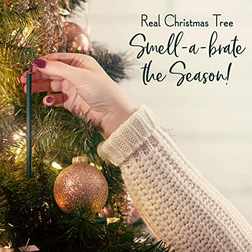 Enviroscent Scentsicles Scented Christmas Ornaments with Cinnamon Fragrance 6 Pieces